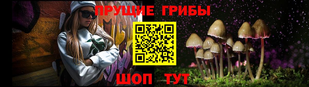 Галлюциногенные грибы GOLDEN TEACHER  Вход с VPN  Псилоцибиновые грибы GOLDEN TEACHER  где найти   Прохладный 